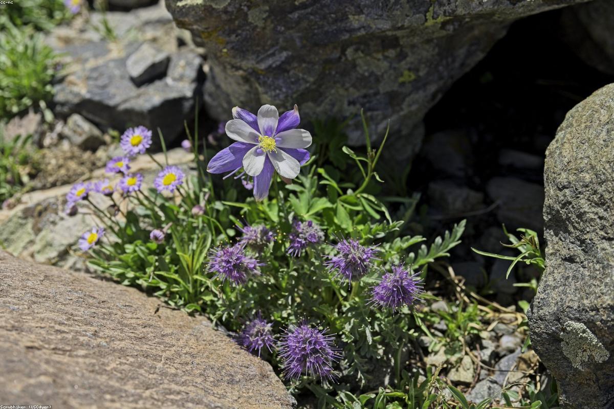 Hiking tips for beginners