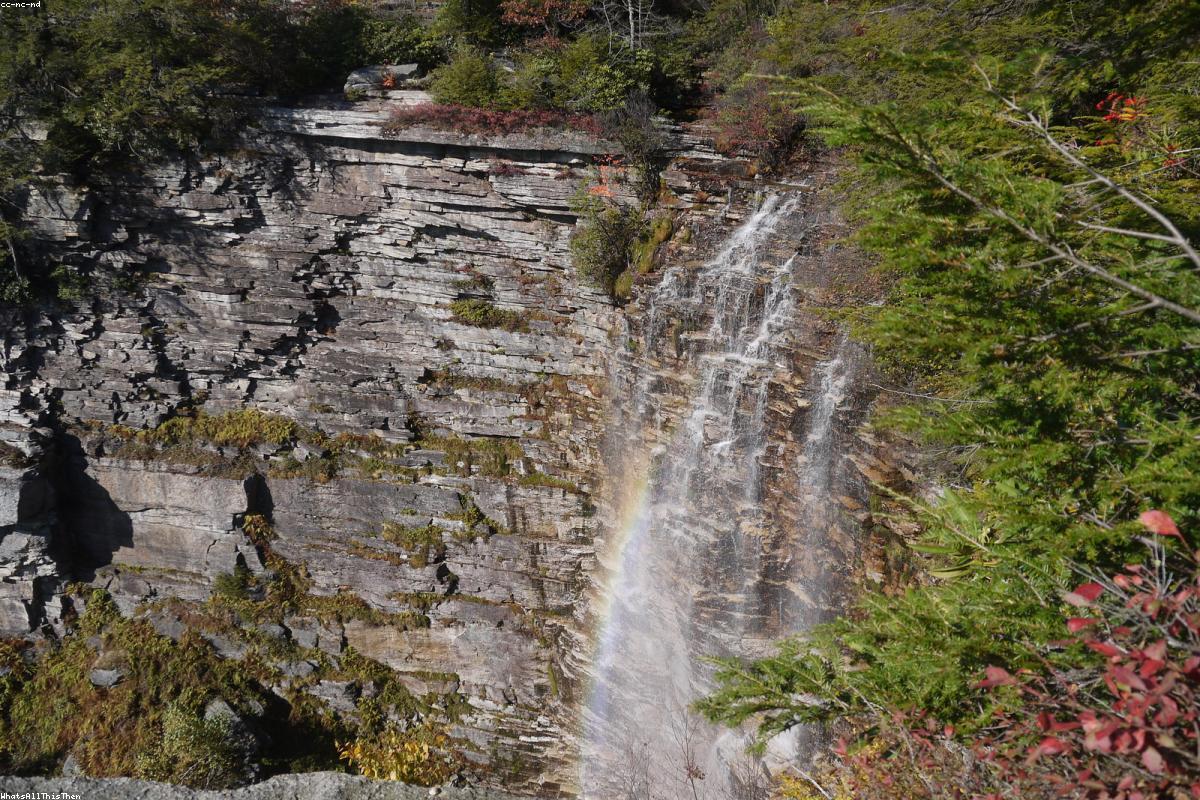 How to Find Hiking Trails Near You: A Beginner's Guide