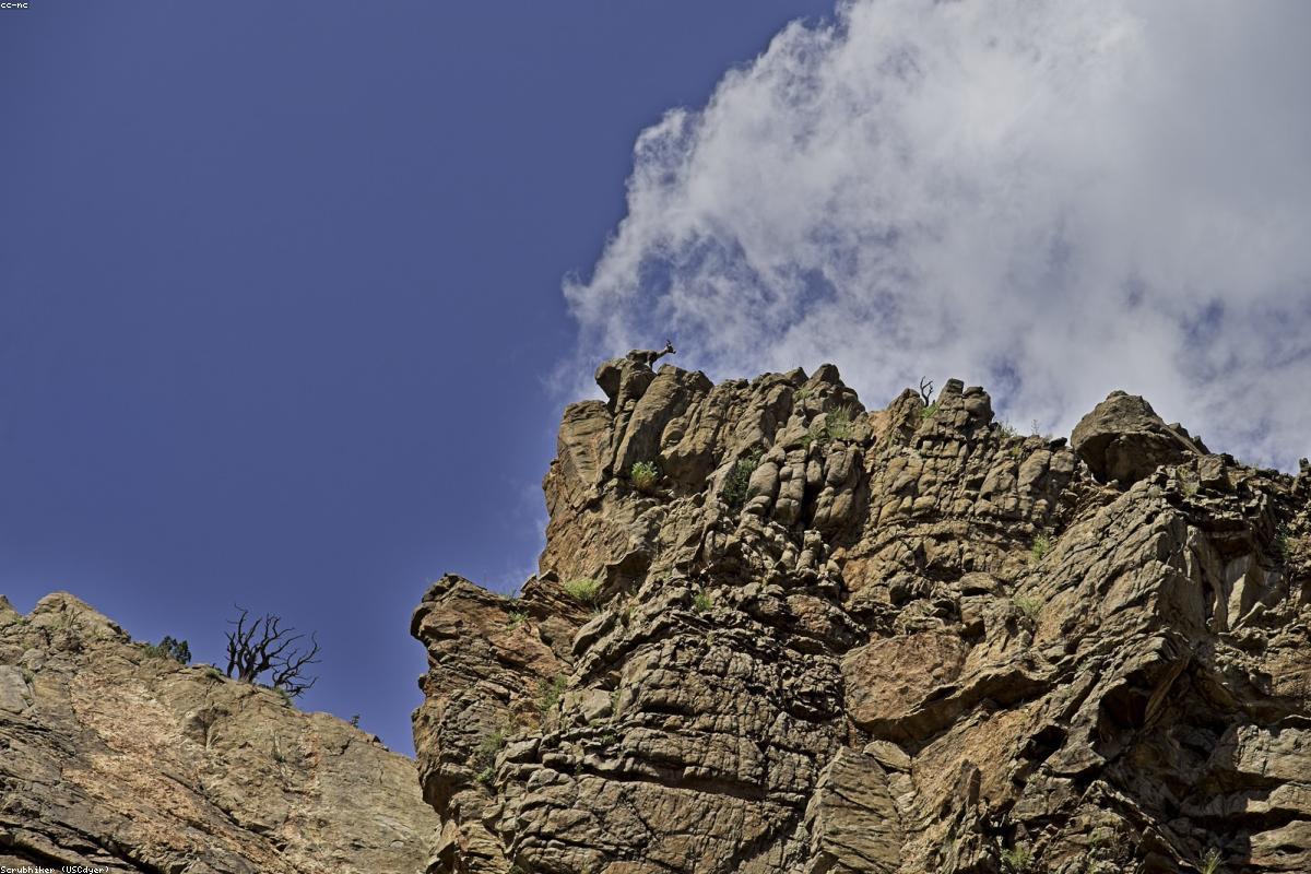 Hiking tips for beginners