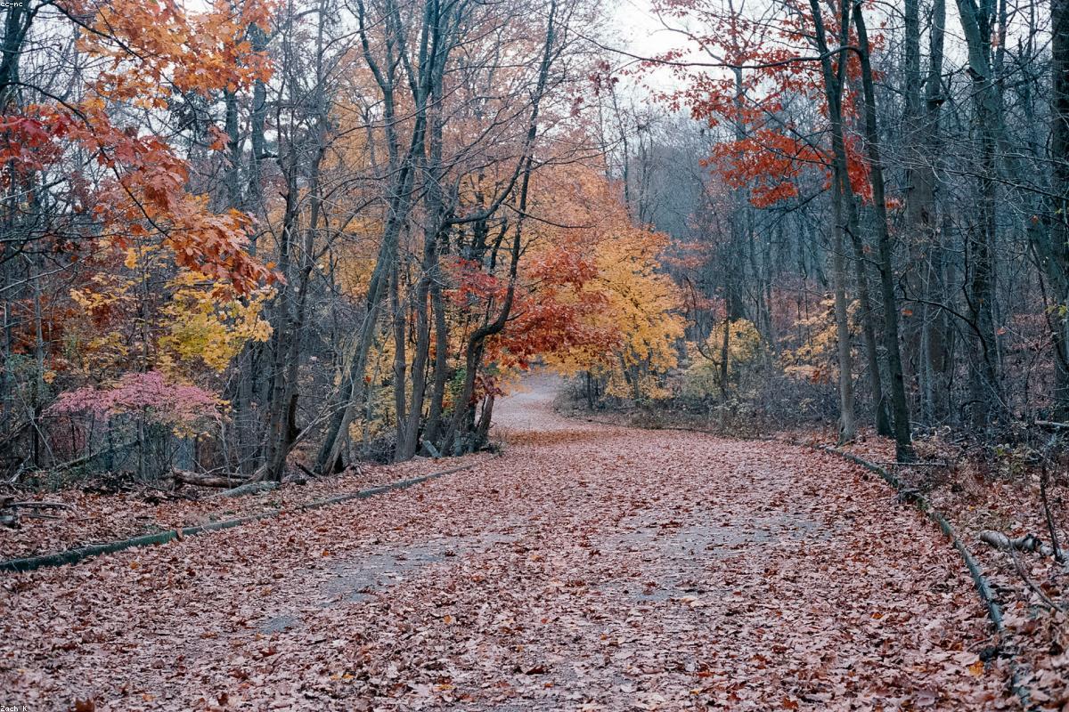 Leave No Trace: The 7 Principles Every Beginner Hiker Must Know